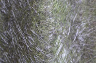 Kilton fibreglass roof work